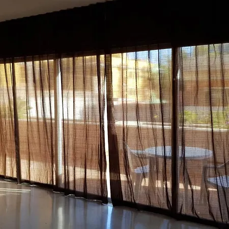 Strelitzia Park סן מיגל דה אבונה